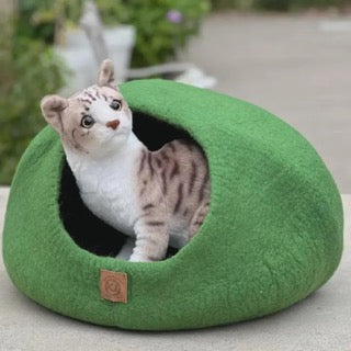 Cat Caves