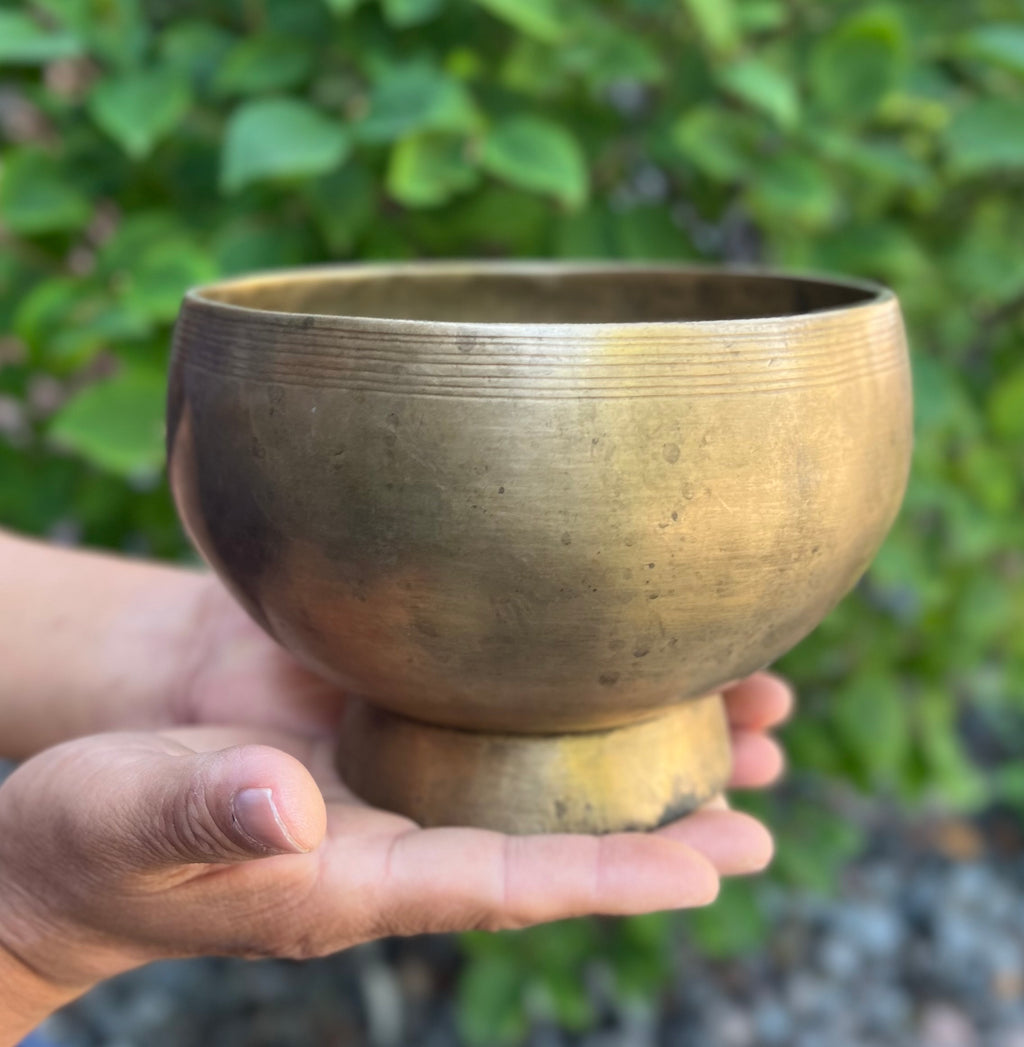 Antique Naga Pedestal Himalayan Singing Bowl – 6 Inch | Root Chakra | Note C 262 Hz - DharmaObjects