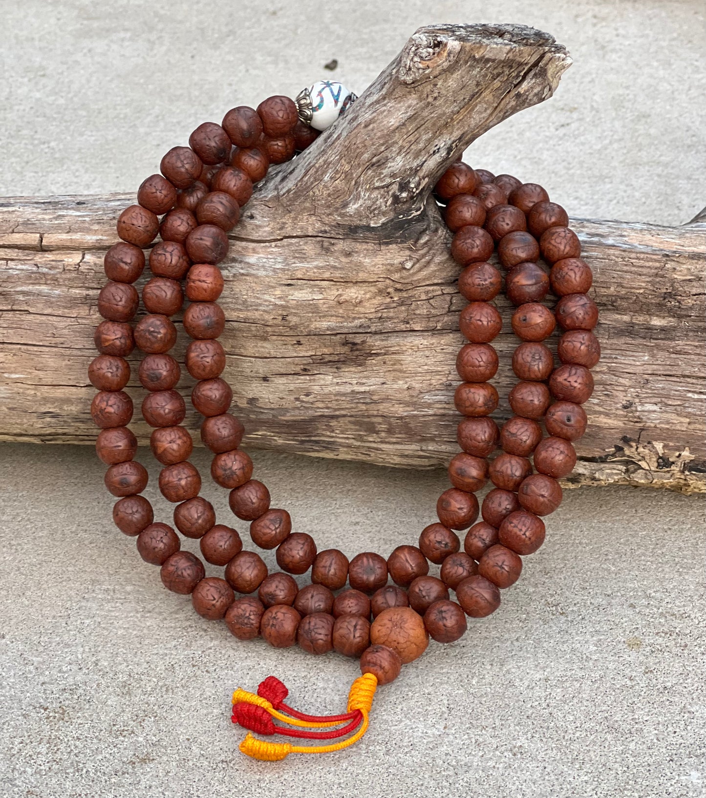 Tibetan Buddhist Rare Bodhi Seed Mala With 3 Conch Shell Accent Beads Free Mala Box