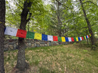 Tibetan Buddhist Prayer Flags Indoor Outdoor Wind Horse Prayer Flags - Pack of 25 Flags - DharmaObjects