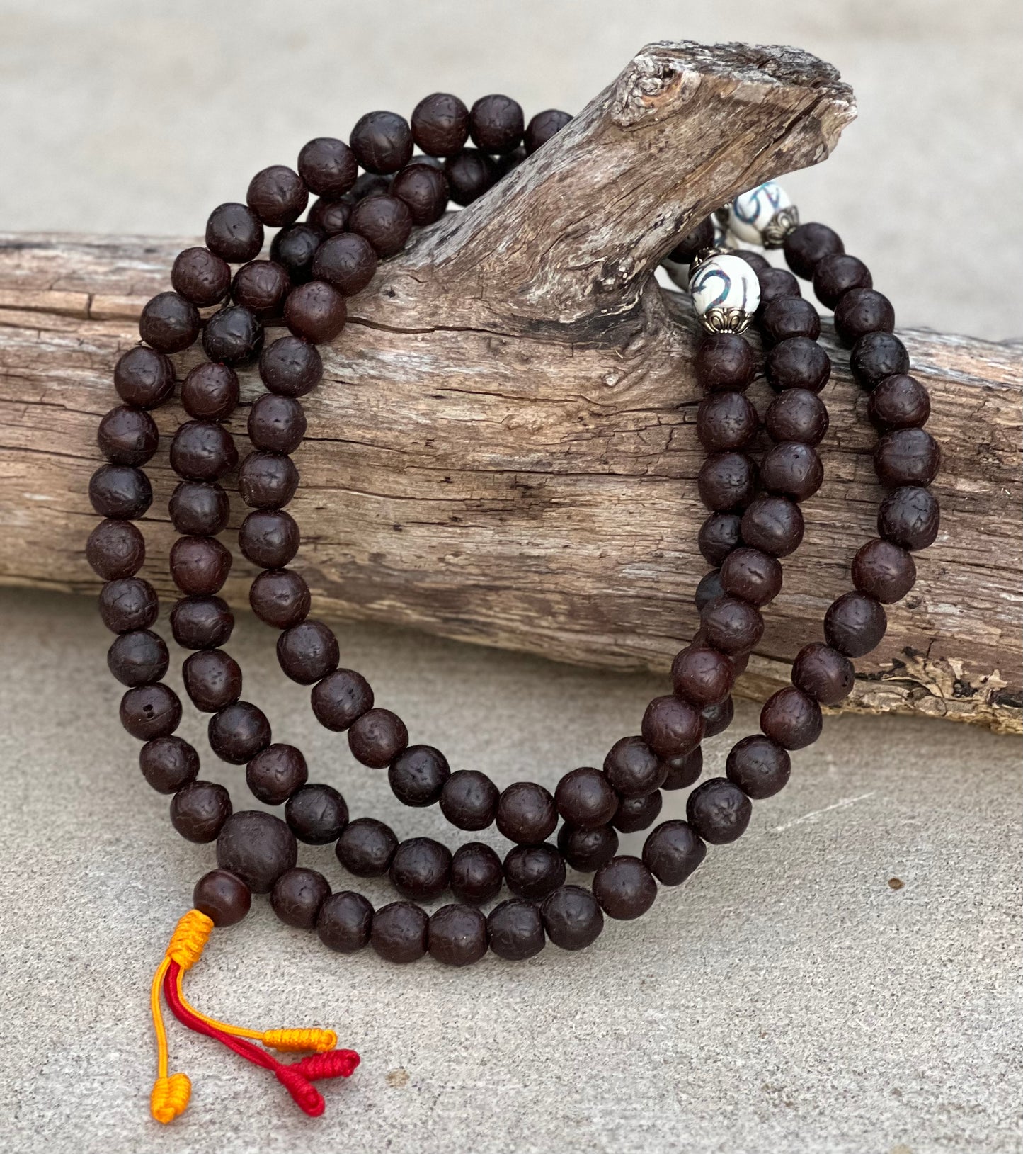 Tibetan Buddhist Rare Bodhi Seed Mala With 3 Conch Shell Accent Beads Free Mala Box