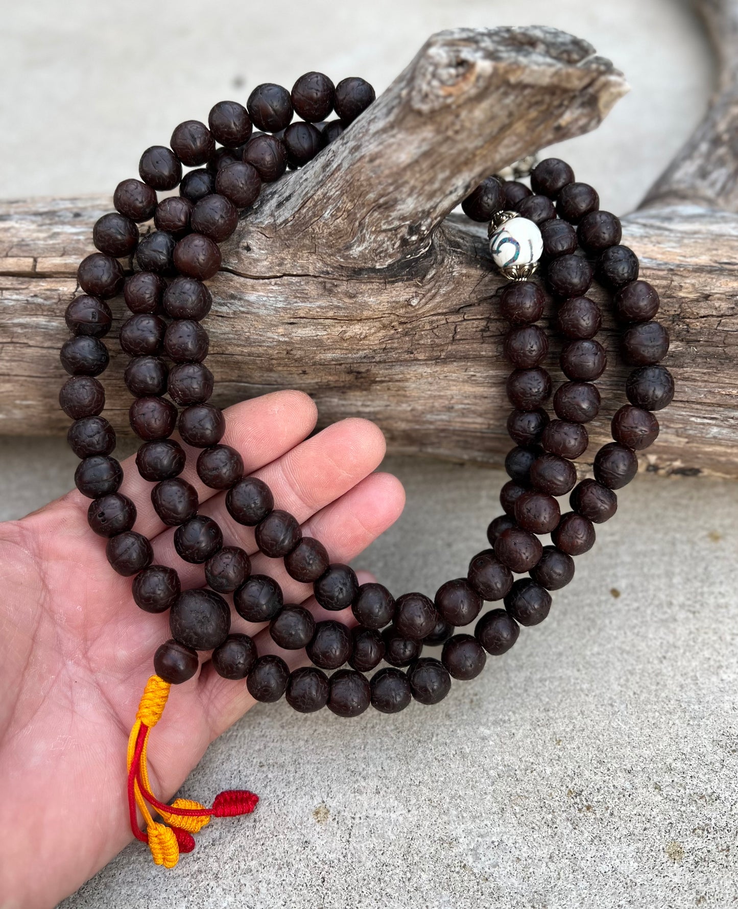 Tibetan Buddhist Rare Bodhi Seed Mala With 3 Conch Shell Accent Beads Free Mala Box