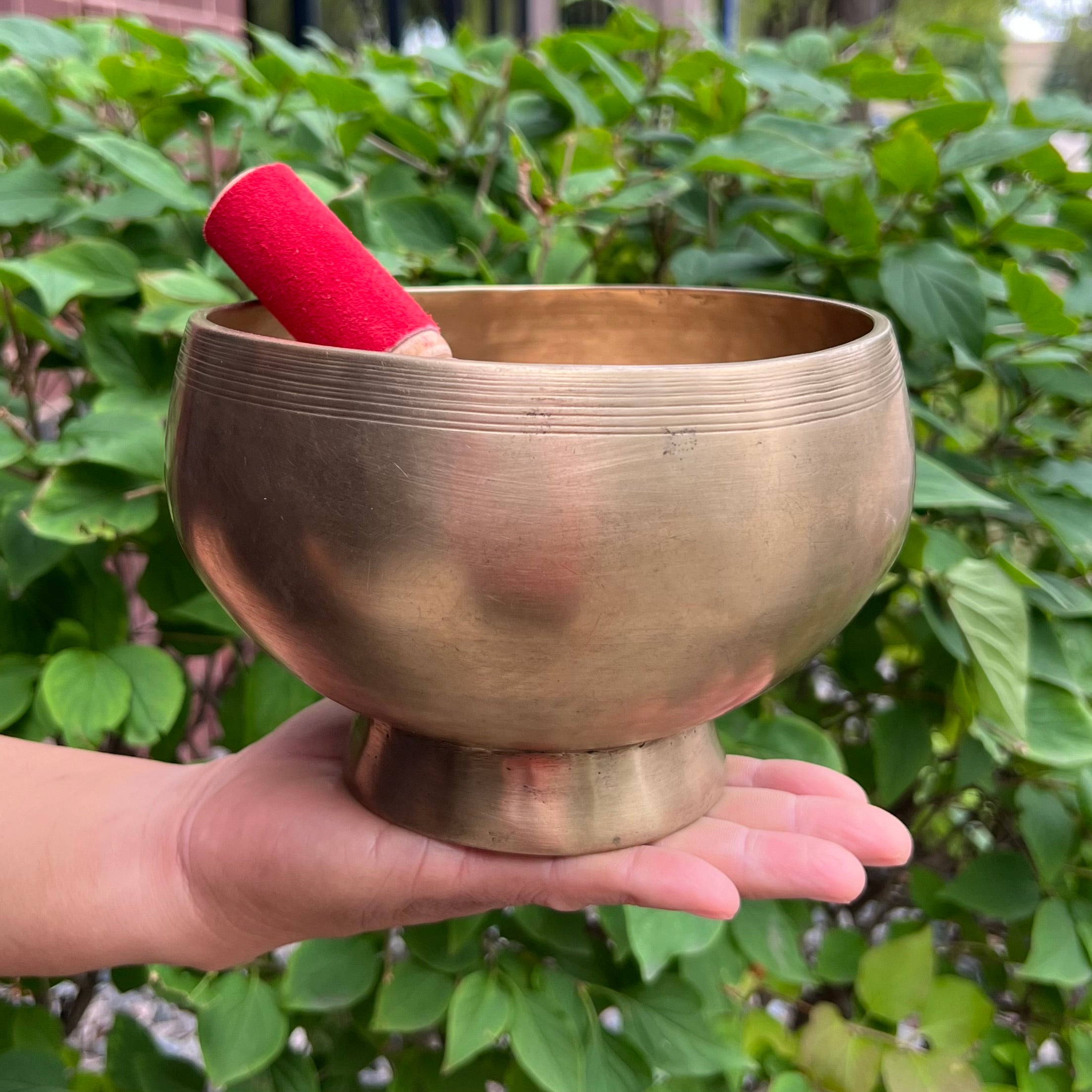 Antique Naga Pedestal Himalayan Singing Bowl 6.5" – Heart Chakra F 1449 Hz Chalice Bowl with Gong Beater & Mallet - DharmaObjects