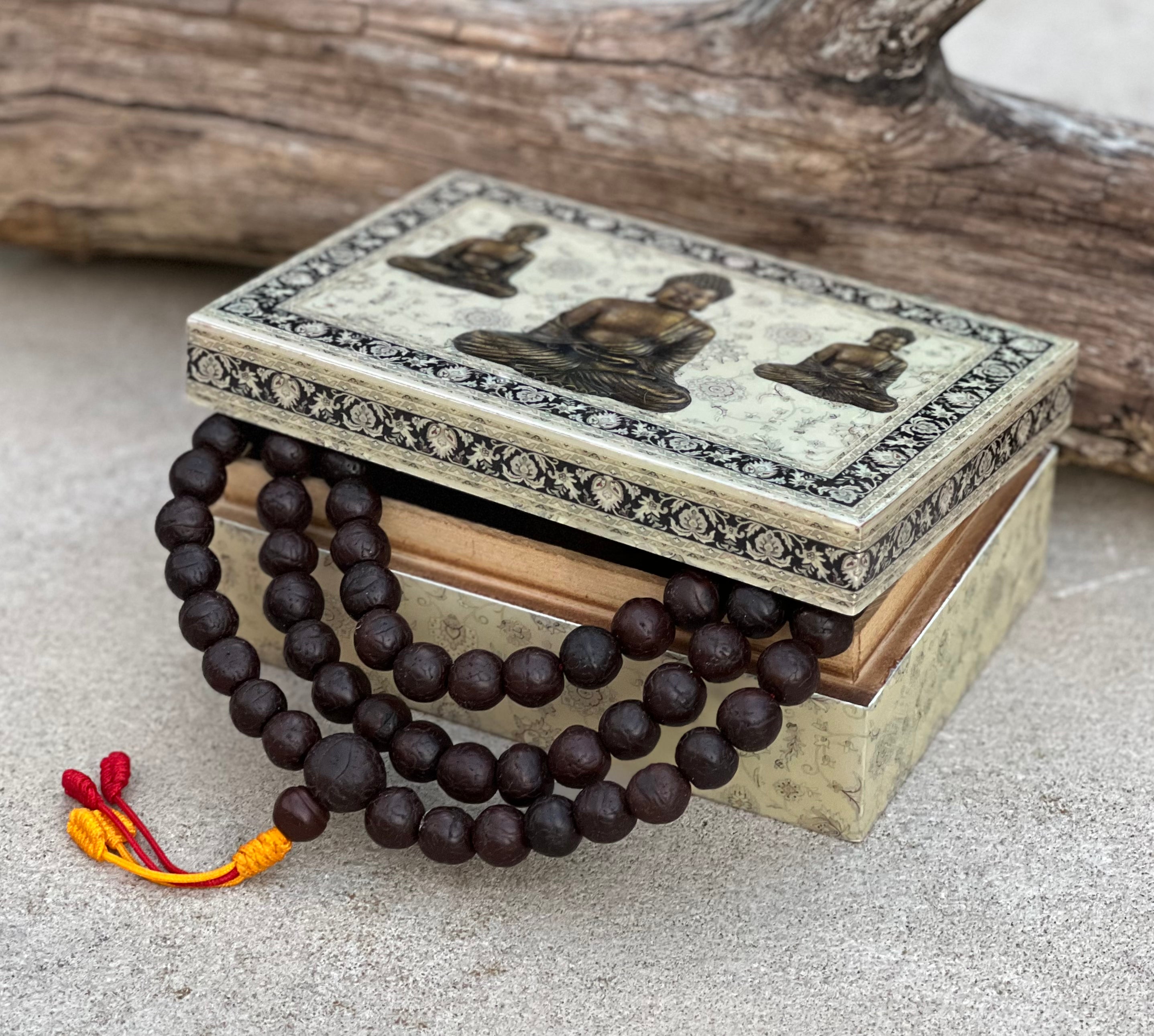 Light Tibetan Buddhist Rare Bodhi Seed Mala, high quality 3 Conch Shell Accent, Free Mala Box