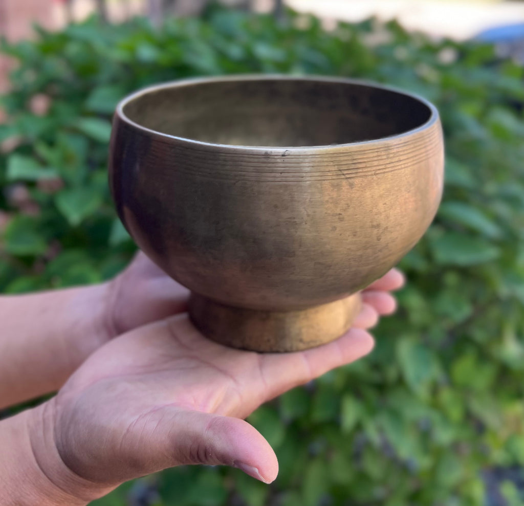 Antique Naga Pedestal Himalayan Singing Bowl – 6 Inch | Root Chakra | Note C 262 Hz - DharmaObjects
