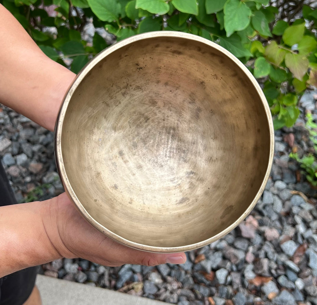 Antique Naga Pedestal Himalayan Singing Bowl 6.5" – Solar Plexus Chakra E 1332 Hz Chalice Bowl with Gong Beater & Mallet - DharmaObjects