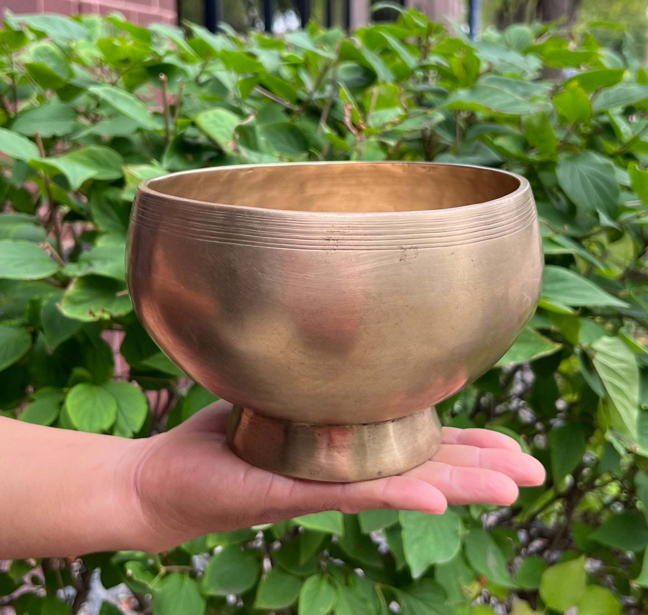 Antique Naga Pedestal Himalayan Singing Bowl 6.5" – Heart Chakra F 1449 Hz Chalice Bowl with Gong Beater & Mallet - DharmaObjects