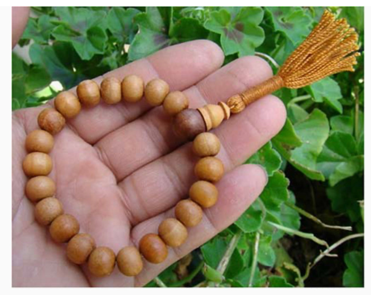 Tibetan Mantra KADAM Wood 21 Beads Wrist Mala