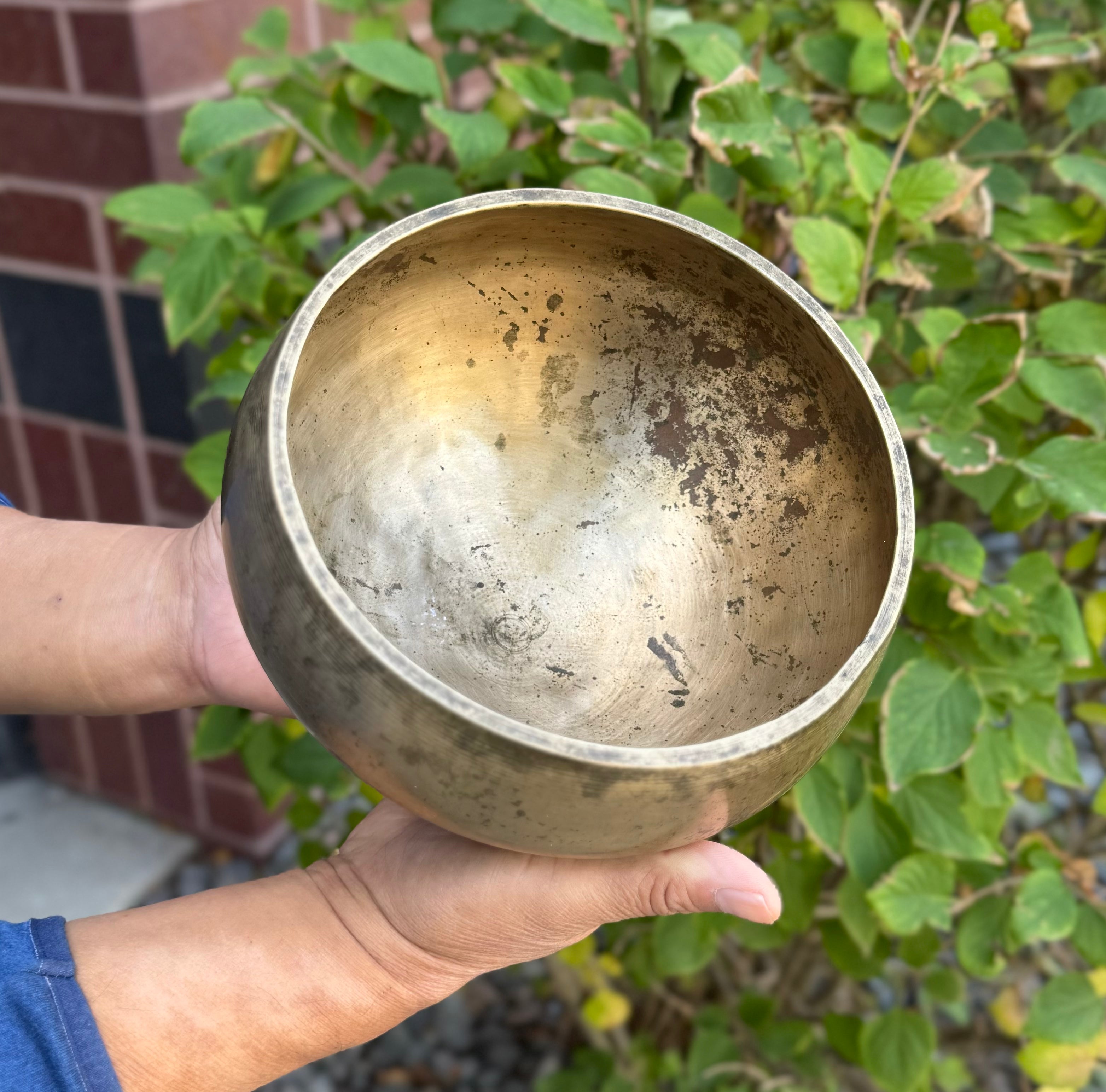Antique Naga Pedestal Himalayan Singing Bowl 7" – Sacral Chakra D 312 Hz Chalice Bowl with Gong Beater & Mallet - DharmaObjects