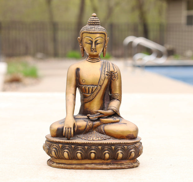 Buddha Statue Solid Brass Antique Finish Dhyana Mudra for Home Altar Shrine Meditation Room 8 Inches Tall