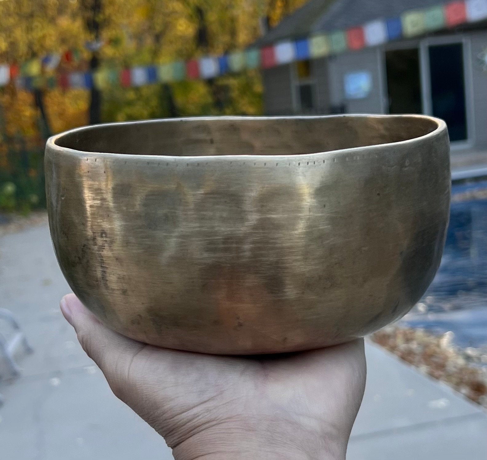 Rare Antique Thadobati Style Tibetan Singing Bowl 6.25" | Dark Patina Crown Chakra B Note Collector Bowl with Mallet & Cushion - DharmaObjects