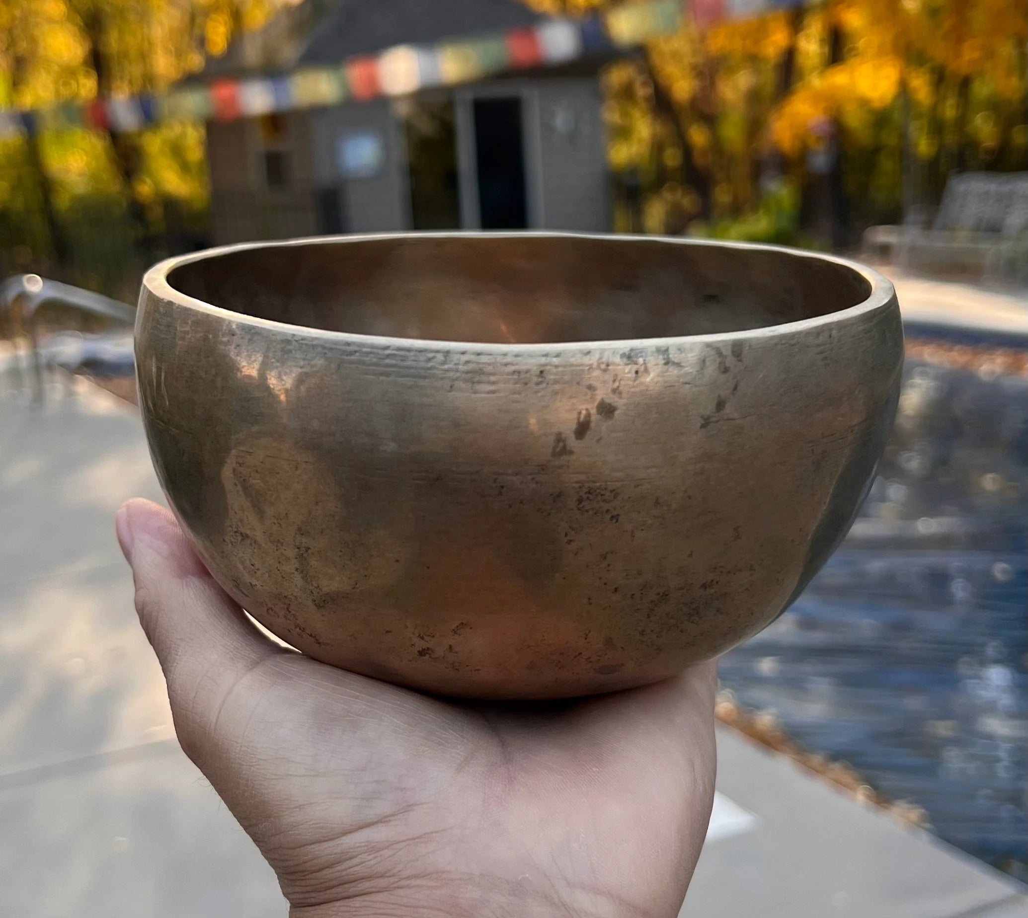 Rare Antique Thadobati Style Tibetan Singing Bowl 5.75" | Dark Patina Heart Chakra F Note Bowl with Mallet & Cushion - DharmaObjects