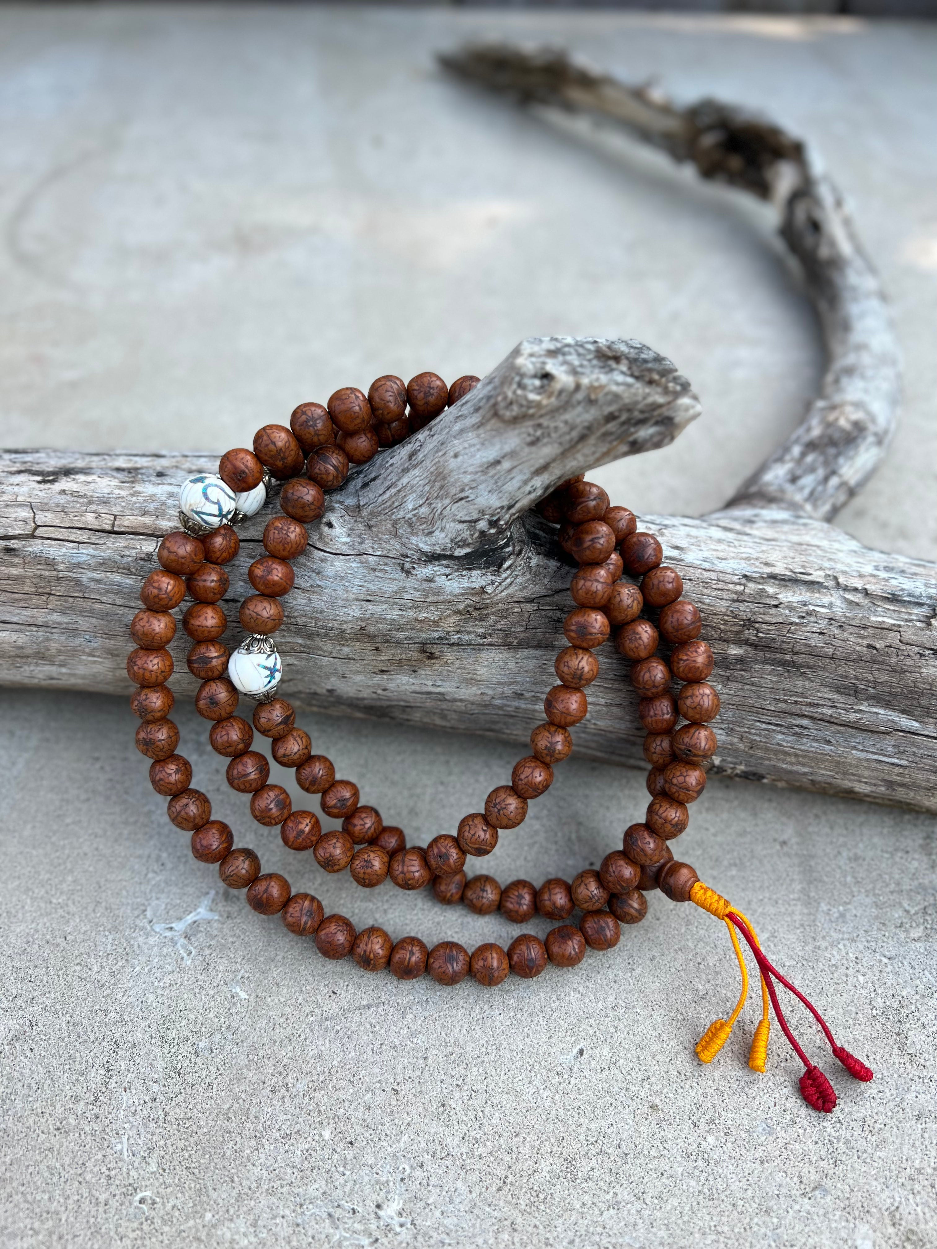 Brown Tibetan Buddhist Rare Bodhi Seed Mala, 3 Conch Shell Accent, Free Mala Bag