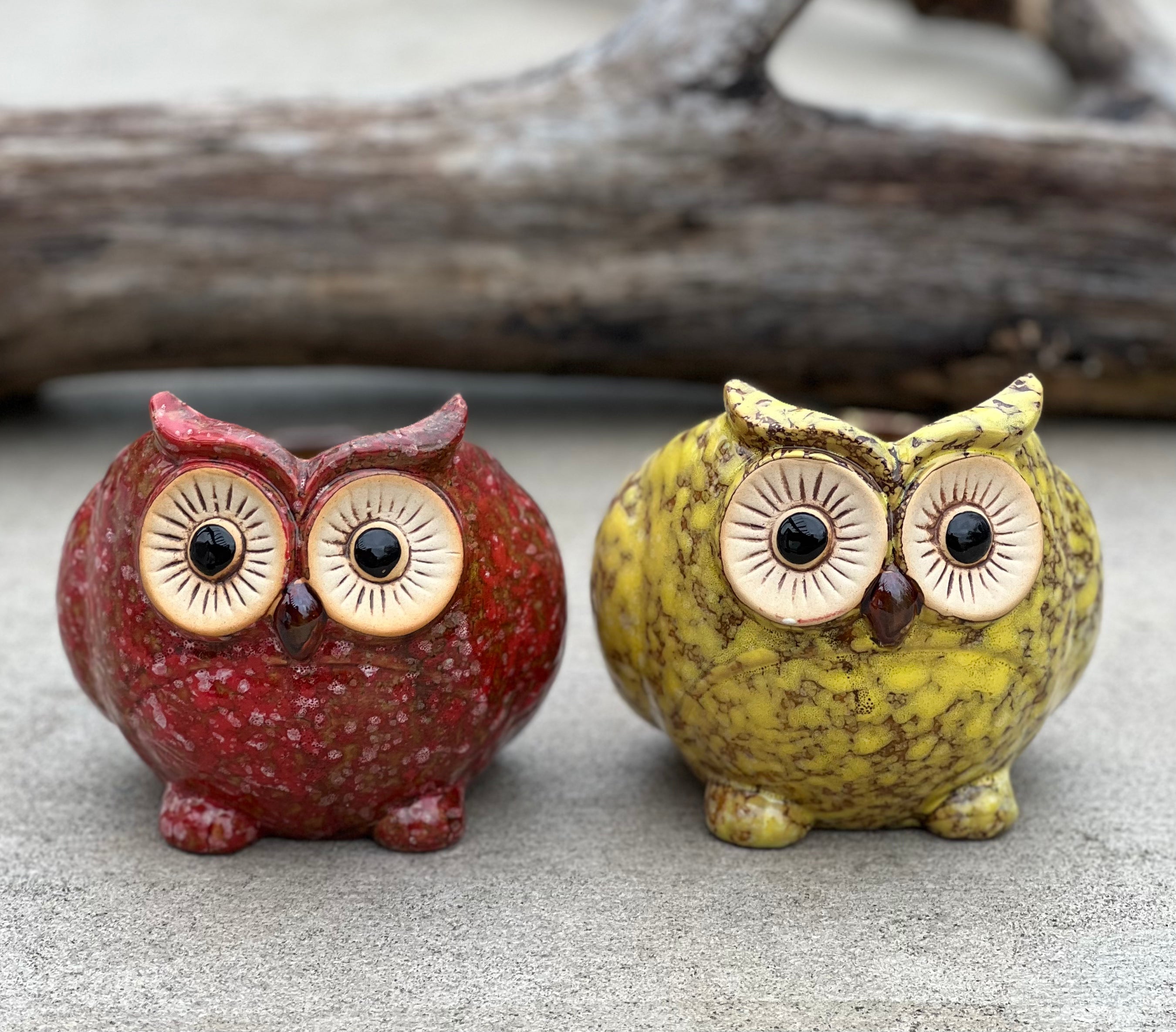 Set Of 2 pcs Cute Small Owl Succulent / Cactus Planter Flower mini pot - DharmaObjects