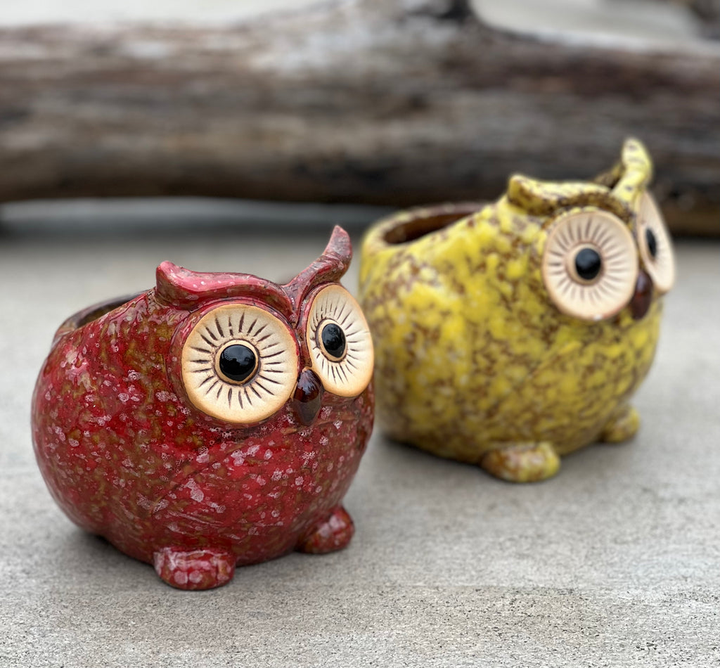 Set Of 2 pcs Cute Small Owl Succulent / Cactus Planter Flower mini pot - DharmaObjects