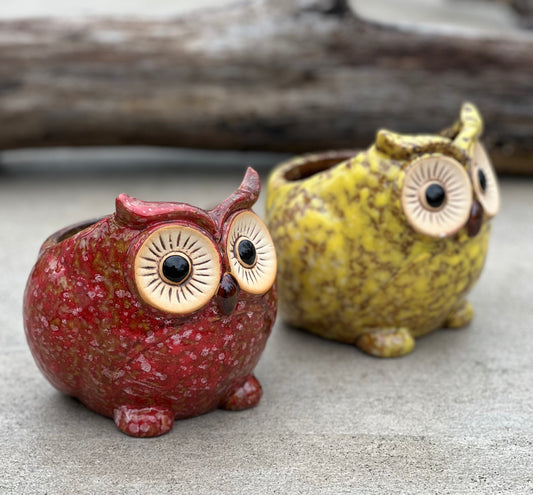 Set Of 2 pcs Cute Small Owl Succulent / Cactus Planter Flower mini pot