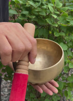 Antique Naga Pedestal Himalayan Singing Bowl 6.5" – Heart Chakra F 1449 Hz Chalice Bowl with Gong Beater & Mallet