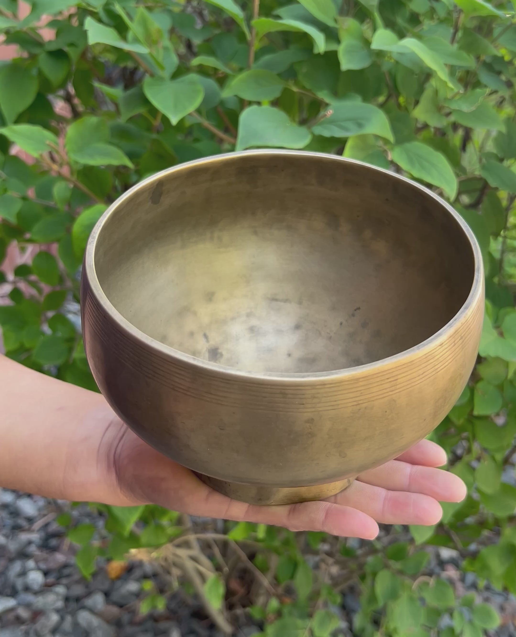 Antique Naga Pedestal Himalayan Singing Bowl – 6 Inch | Root Chakra | Note C 262 Hz