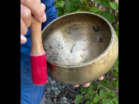 Antique Naga Pedestal Himalayan Singing Bowl 7" – Sacral Chakra D 312 Hz Chalice Bowl with Gong Beater & Mallet