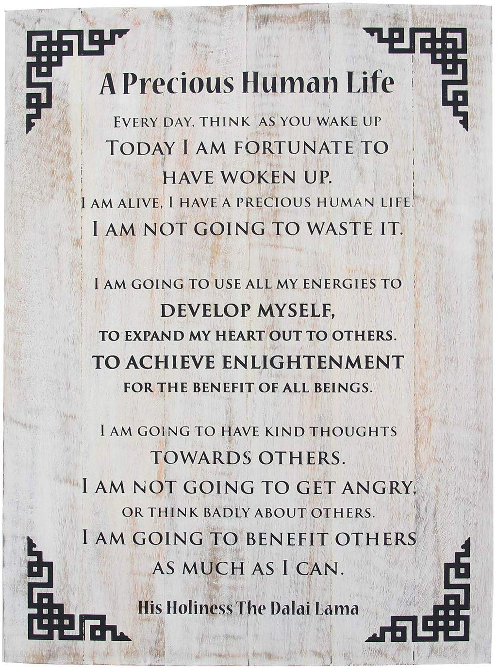 Dalai Lama Quotes ~ Wooden ~ A Precious Human Life ~ Inspirational Message Wall Decor - DharmaObjects