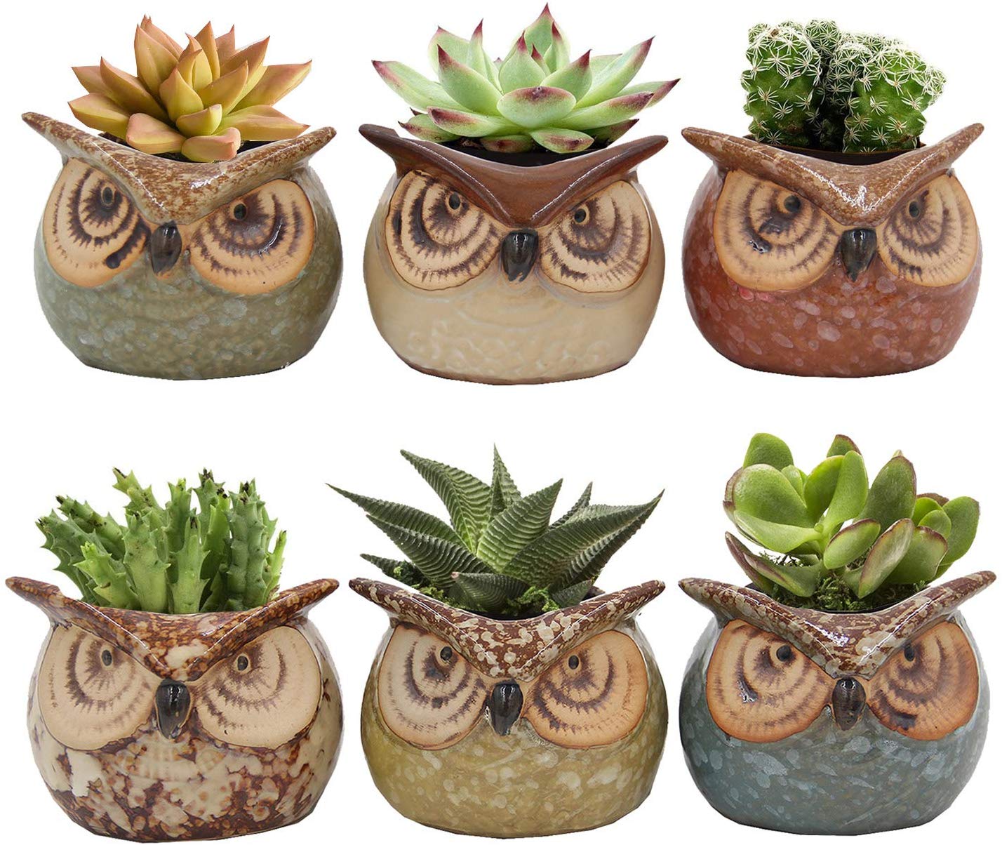 Set of 6 Owl Pots, Cute Little Ceramic Succulent Cactus Plant Pot Flower (SIX POTS # 3) - DharmaObjects