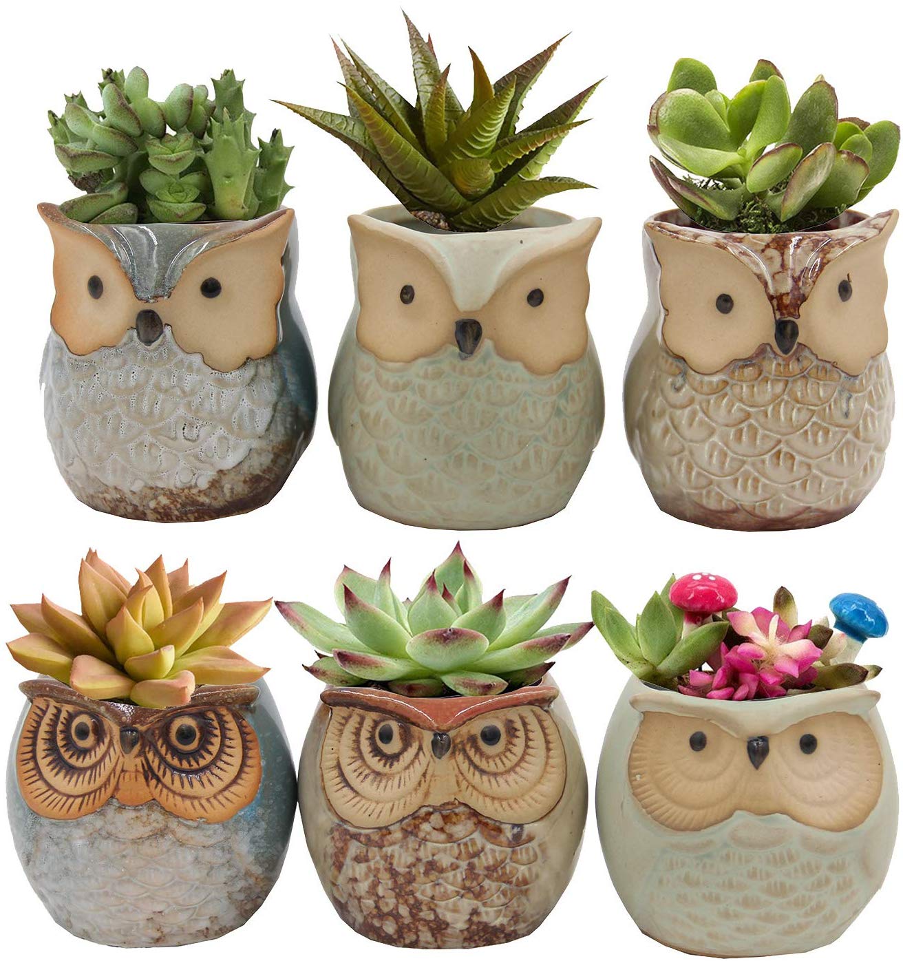 Set of 6 Owl Pots, Cute Little Ceramic Succulent Pots Cactus Plant Pot Flower (SIX POTS # 1) - DharmaObjects