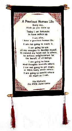 Dalai Lama Quotes ~ A Precious Human Life ~ Inspirational Message Wall Decor Hanging - DharmaObjects