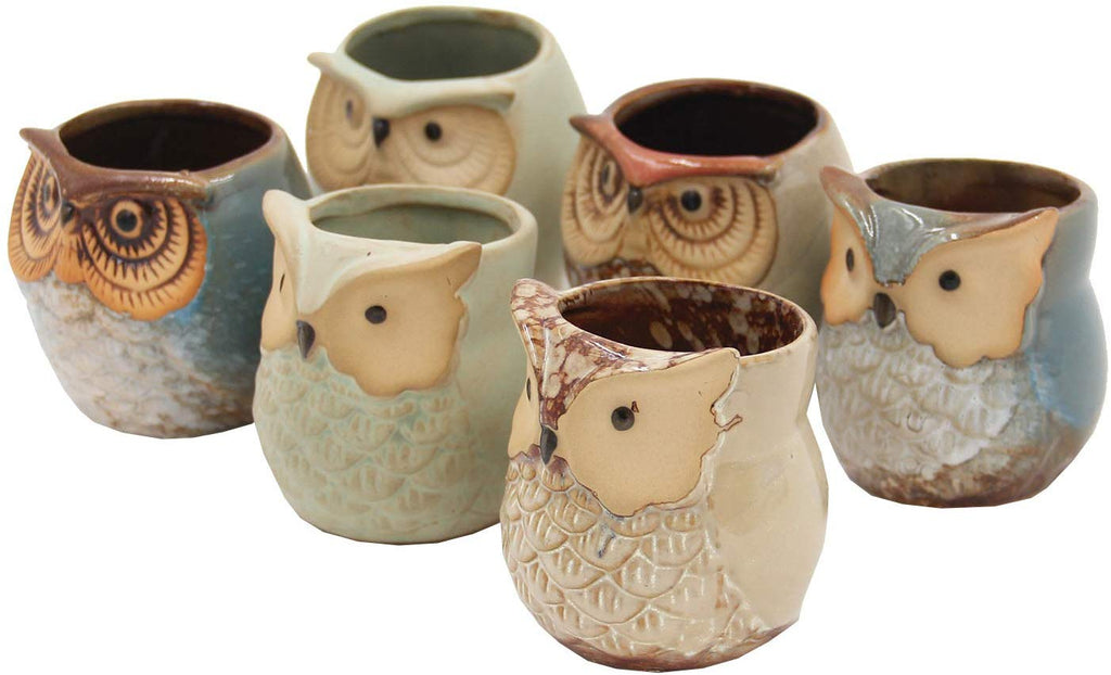 Set of 6 Owl Pots, Cute Little Ceramic Succulent Pots Cactus Plant Pot Flower (SIX POTS # 1) - DharmaObjects