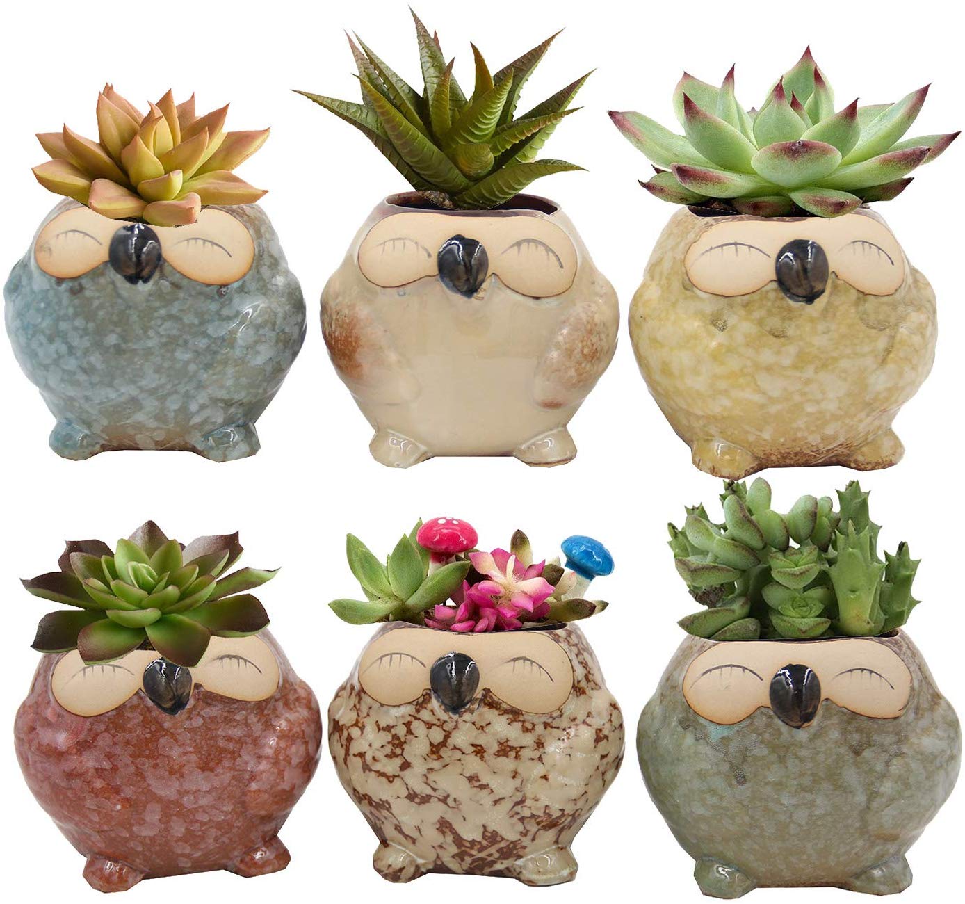 Set of 6 Owl Pots, Cute Little Ceramic Succulent Cactus Plant Pot Flower (SIX POTS # 2) - DharmaObjects