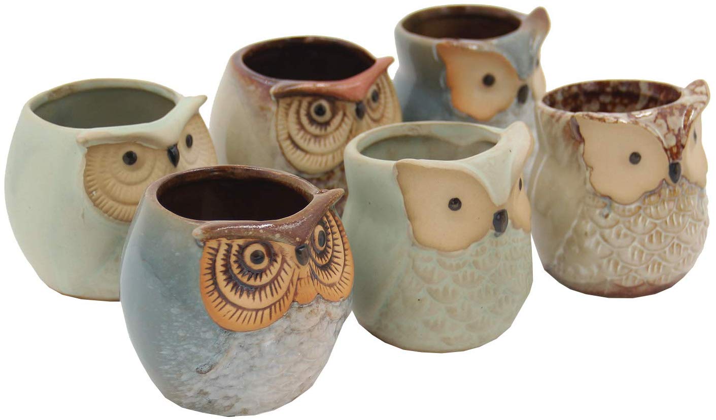 Set of 6 Owl Pots, Cute Little Ceramic Succulent Pots Cactus Plant Pot Flower (SIX POTS # 1) - DharmaObjects