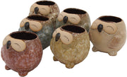 Set of 6 Owl Pots, Cute Little Ceramic Succulent Cactus Plant Pot Flower (SIX POTS # 2) - DharmaObjects