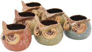 Set of 6 Owl Pots, Cute Little Ceramic Succulent Cactus Plant Pot Flower (SIX POTS # 3) - DharmaObjects