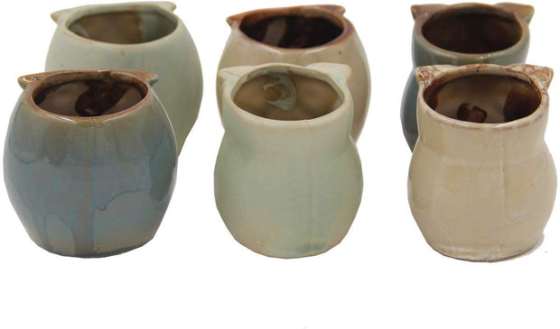 Set of 6 Owl Pots, Cute Little Ceramic Succulent Pots Cactus Plant Pot Flower (SIX POTS # 1) - DharmaObjects