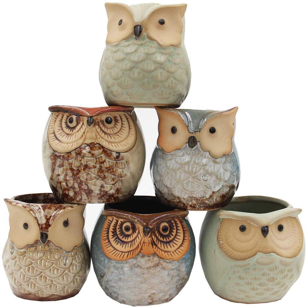 Set of 6 Owl Pots, Cute Little Ceramic Succulent Pots Cactus Plant Pot Flower (SIX POTS # 1) - DharmaObjects