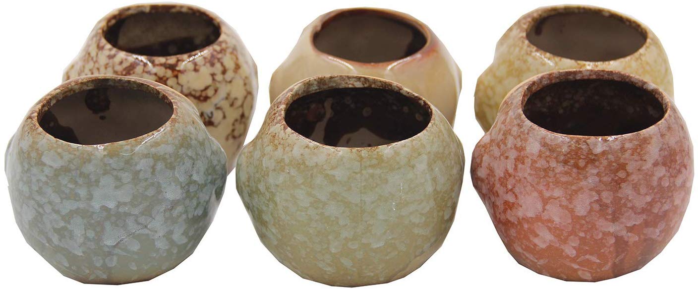 Set of 6 Owl Pots, Cute Little Ceramic Succulent Cactus Plant Pot Flower (SIX POTS # 2) - DharmaObjects