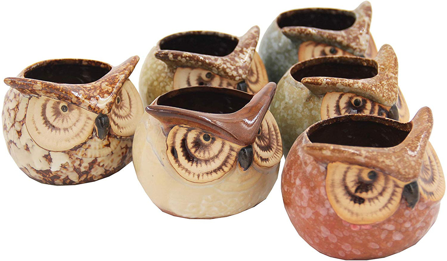 Set of 6 Owl Pots, Cute Little Ceramic Succulent Cactus Plant Pot Flower (SIX POTS # 3) - DharmaObjects