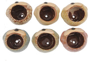 Set of 6 Owl Pots, Cute Little Ceramic Succulent Cactus Plant Pot Flower (SIX POTS # 2) - DharmaObjects